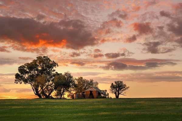 Difference-Between-Mulching-and-Slashing-Australian-Farm