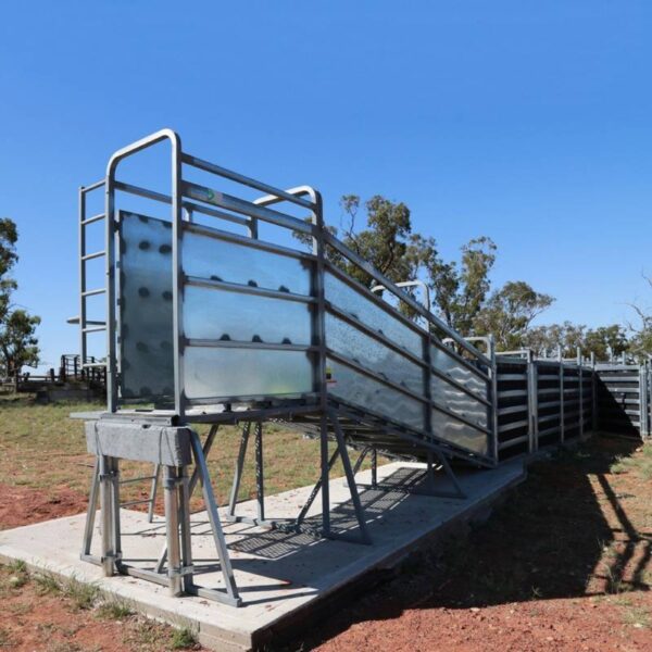 Arrowquip-Cattle-Heavy-Duty-Loading-Ramp-LRSCBW