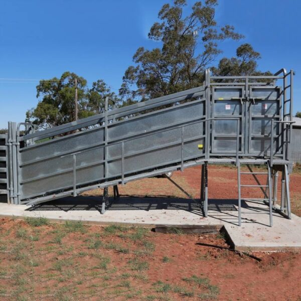 Arrowquip-Cattle-Heavy-Duty-Loading-Ramp-LRSCBW