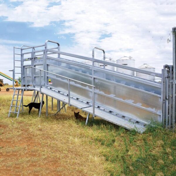 Arrowquip-Cattle-Heavy-Duty-Loading-Ramp-LRSCBW