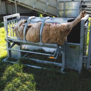 Sheep & Goats Equipment