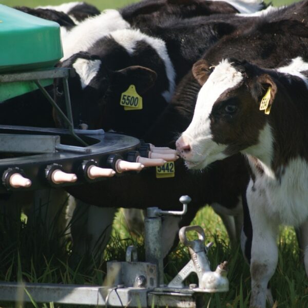 Polymaster-Teat-Mobile-Gravity-Milk-Feeder