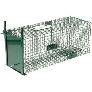 Shoof-BoxTrap-Possum-and-Feral-Cat-Cage-211231