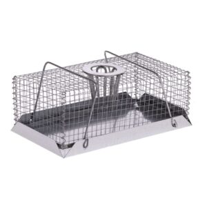 Shoof-Mouse-Trap-Drop-In-214582