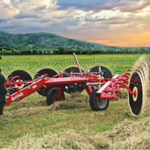 Enorossi-Carted-Bat-Rakes