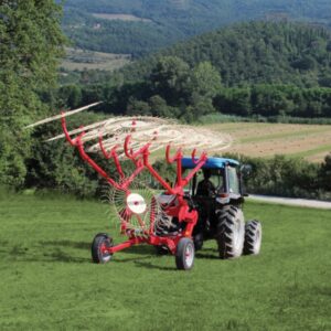 Enorossi-Carted-V-Rakes-Caddy-Hay-Rakes