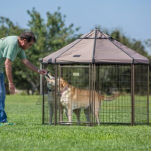 Silvan-1.5m-Pet-Gazebo-with-Canopy-23405