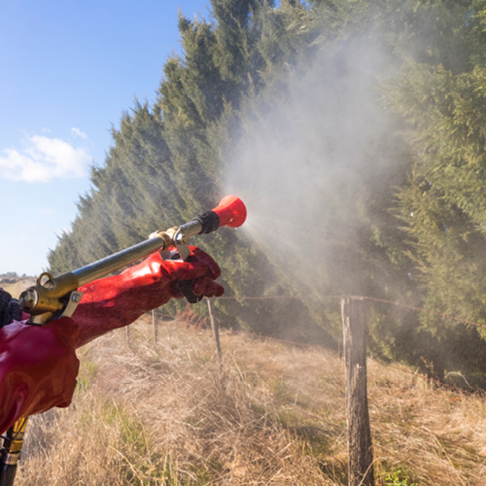Silvan-Tommy-Spray-Gun-410-54