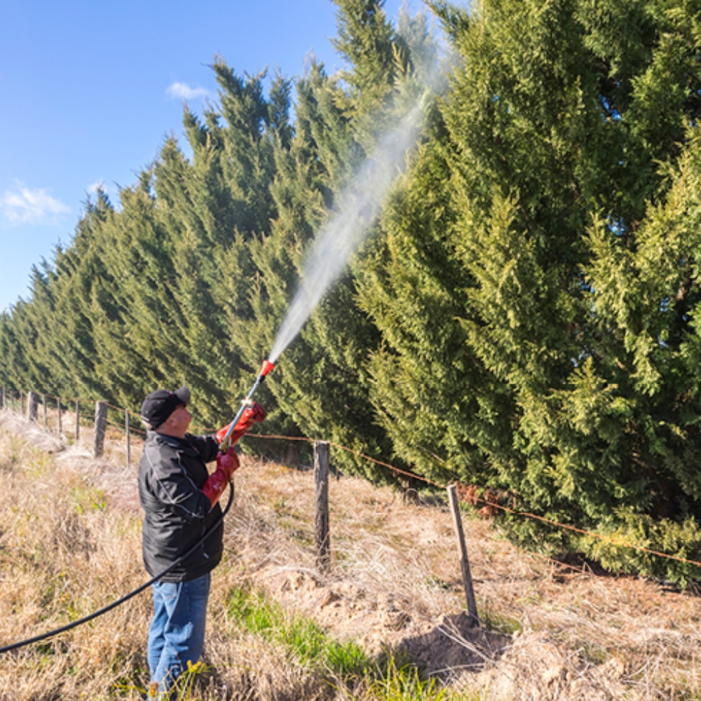 Silvan-Tommy-Spray-Gun-410-54