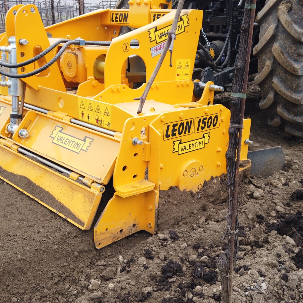 Valentini-Leon-Stone-Crusher