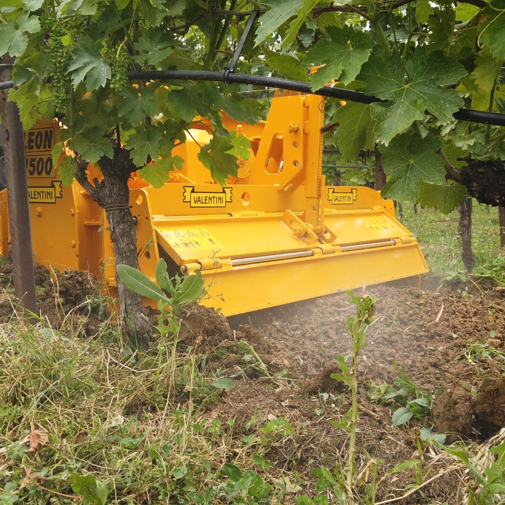 Valentini-Leon-Stone-Crusher